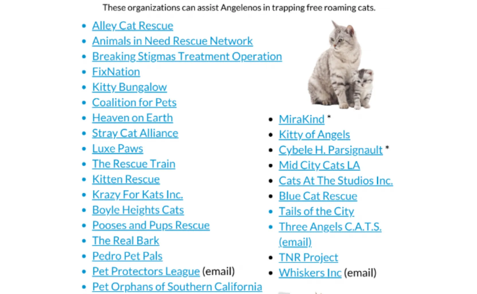 Free cat shops drop off near me